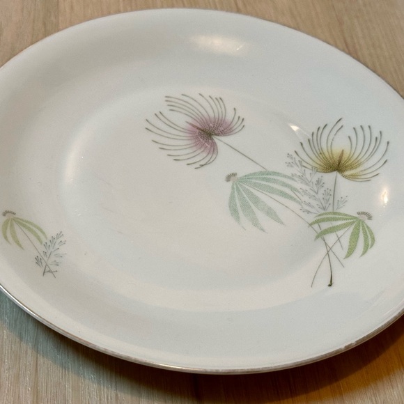Vintage Bavaria Tirschenreuth Plate – White w/ Floral Design, Silver Rim, Rare - Picture 8 of 16